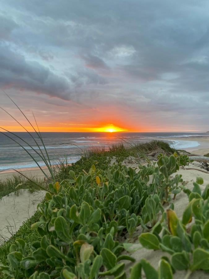Soutelande Country Stay - Close To 1#Beach In Pe Port Elizabeth Buitenkant foto