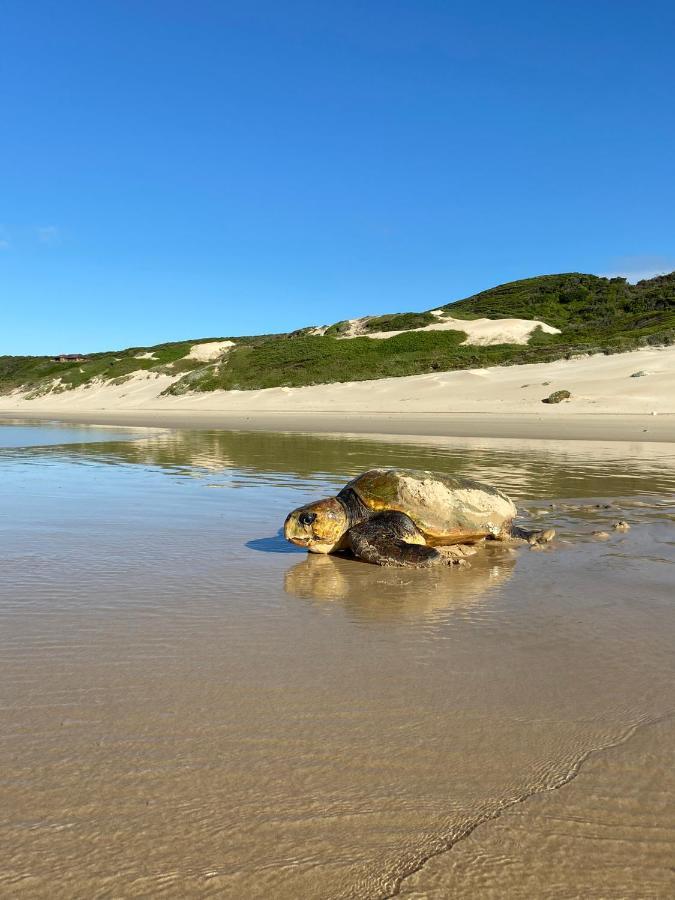 Soutelande Country Stay - Close To 1#Beach In Pe Port Elizabeth Buitenkant foto