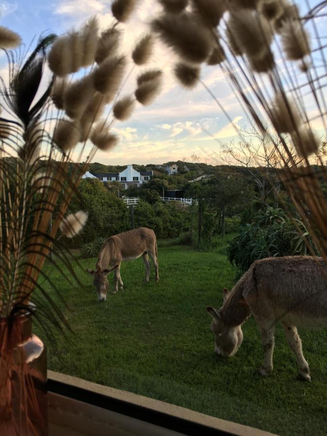 Soutelande Country Stay - Close To 1#Beach In Pe Port Elizabeth Buitenkant foto