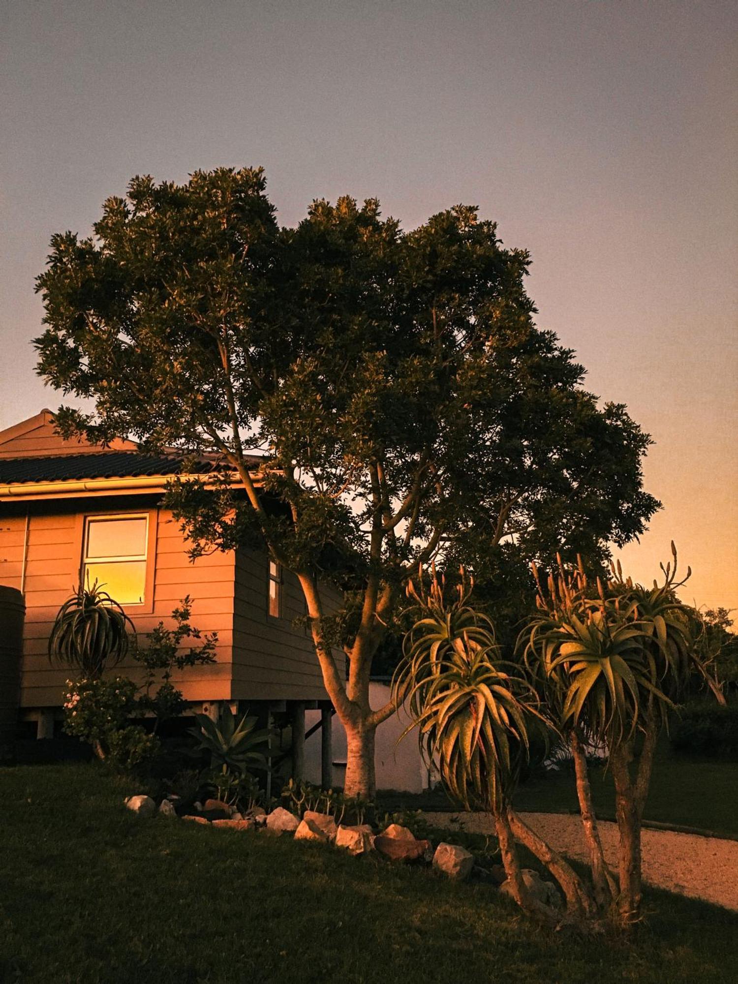 Soutelande Country Stay - Close To 1#Beach In Pe Port Elizabeth Buitenkant foto