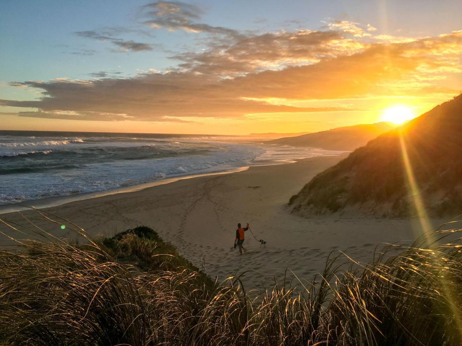 Soutelande Country Stay - Close To 1#Beach In Pe Port Elizabeth Buitenkant foto